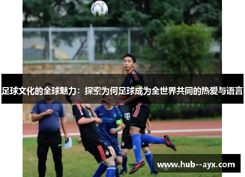 足球文化的全球魅力：探索为何足球成为全世界共同的热爱与语言